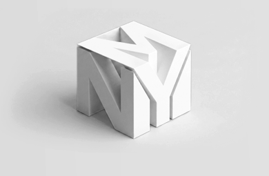 NMY Visual System